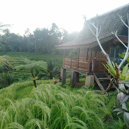 D'Ume Bendoel Homestay Jatiluwih Dış mekan fotoğraf