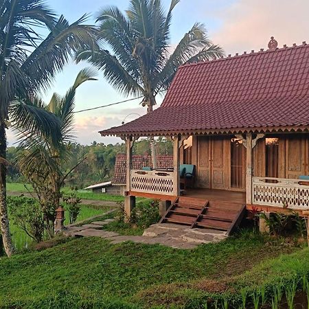 D'Ume Bendoel Homestay Jatiluwih Dış mekan fotoğraf