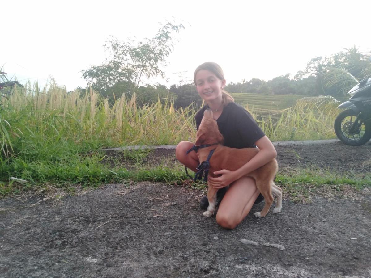 D'Ume Bendoel Homestay Jatiluwih Dış mekan fotoğraf