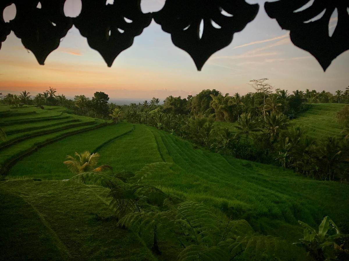 D'Ume Bendoel Homestay Jatiluwih Dış mekan fotoğraf