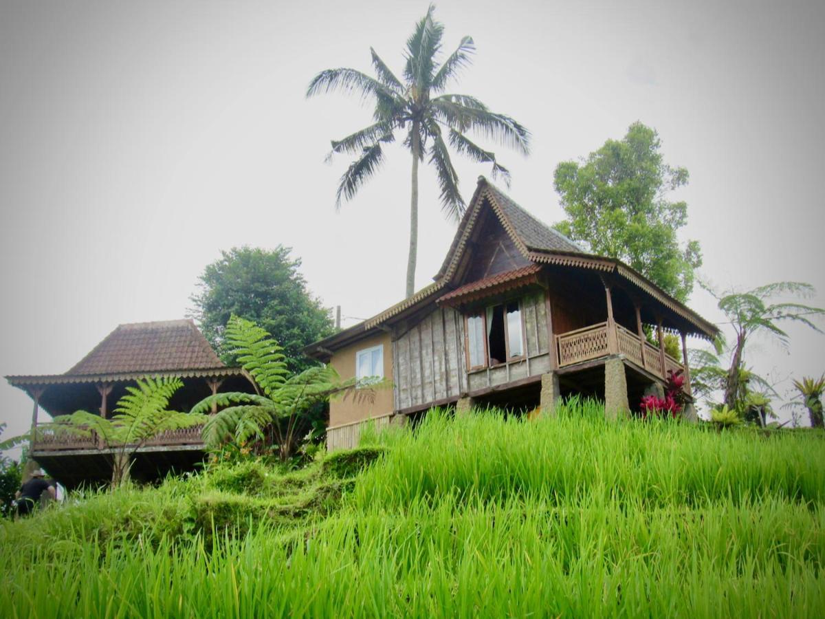 D'Ume Bendoel Homestay Jatiluwih Dış mekan fotoğraf