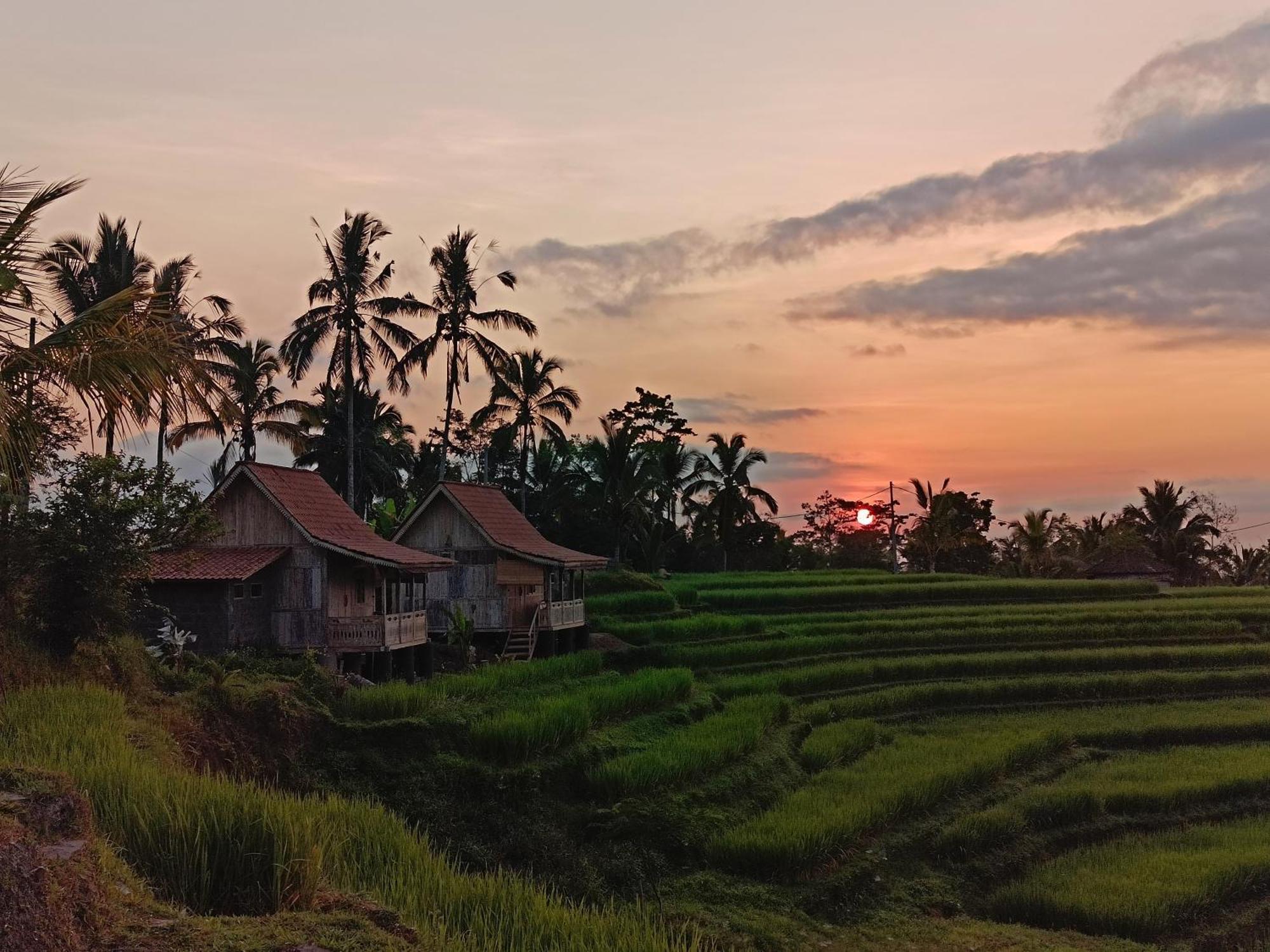 D'Ume Bendoel Homestay Jatiluwih Dış mekan fotoğraf