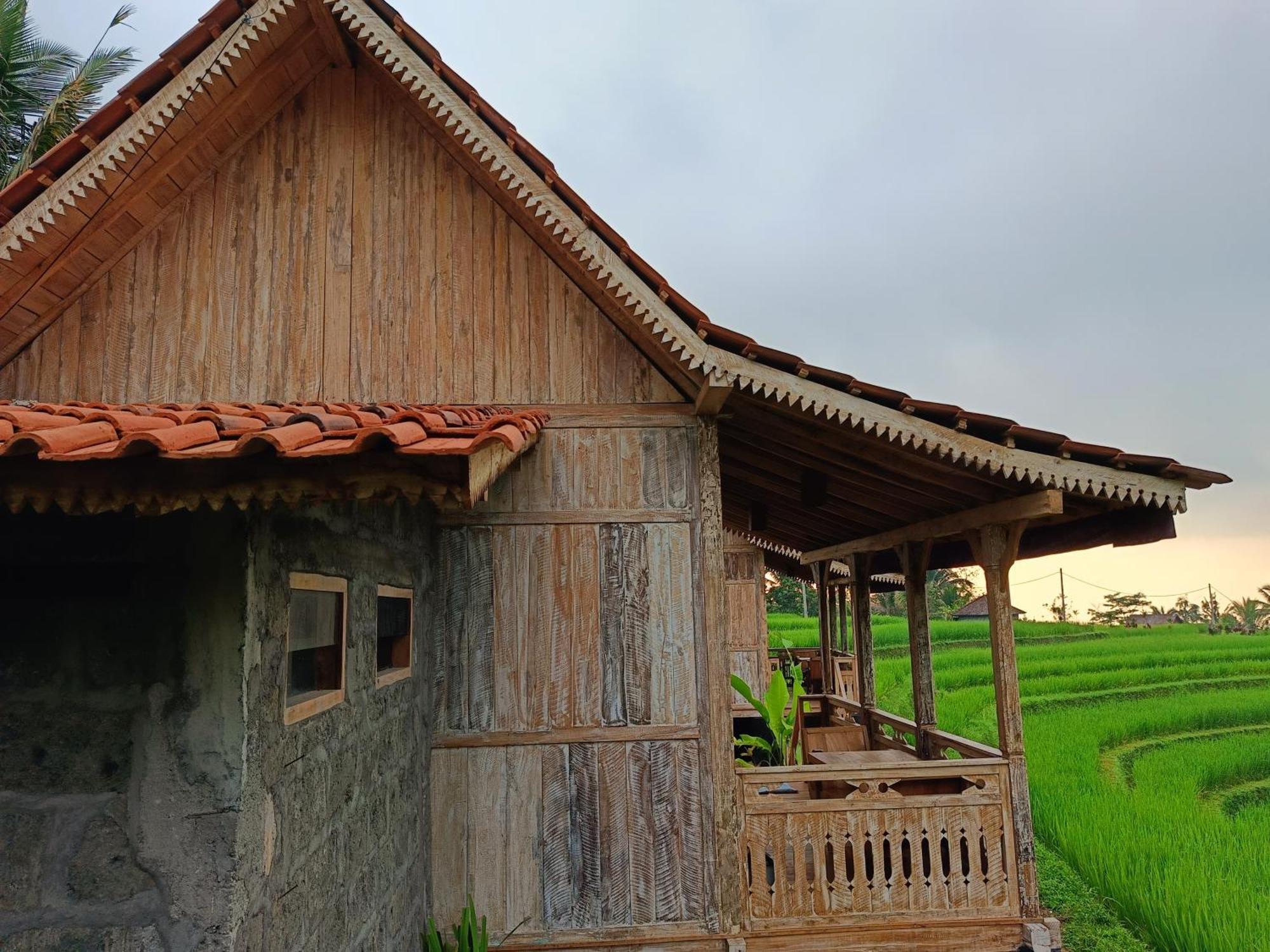 D'Ume Bendoel Homestay Jatiluwih Dış mekan fotoğraf