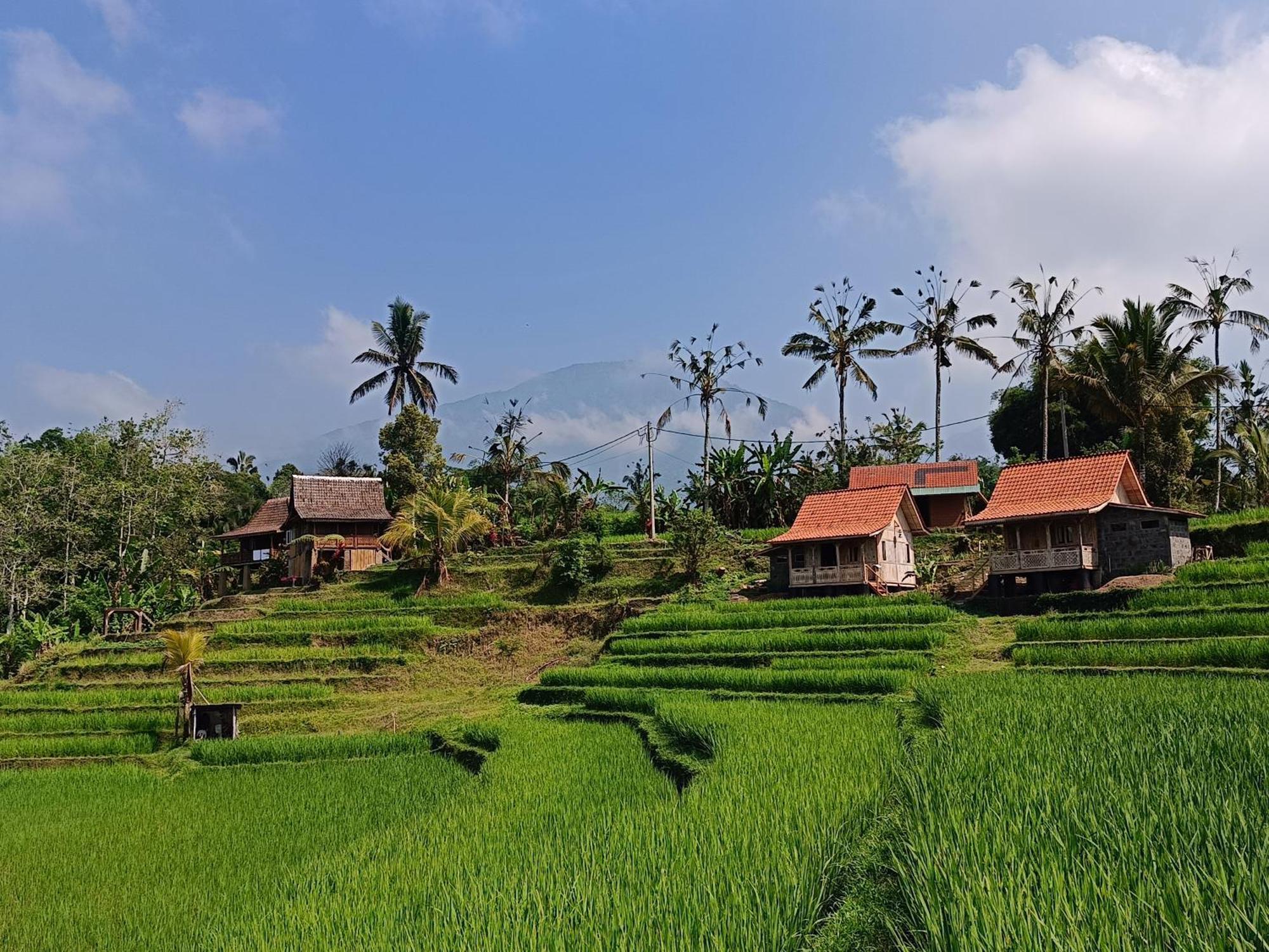 D'Ume Bendoel Homestay Jatiluwih Dış mekan fotoğraf