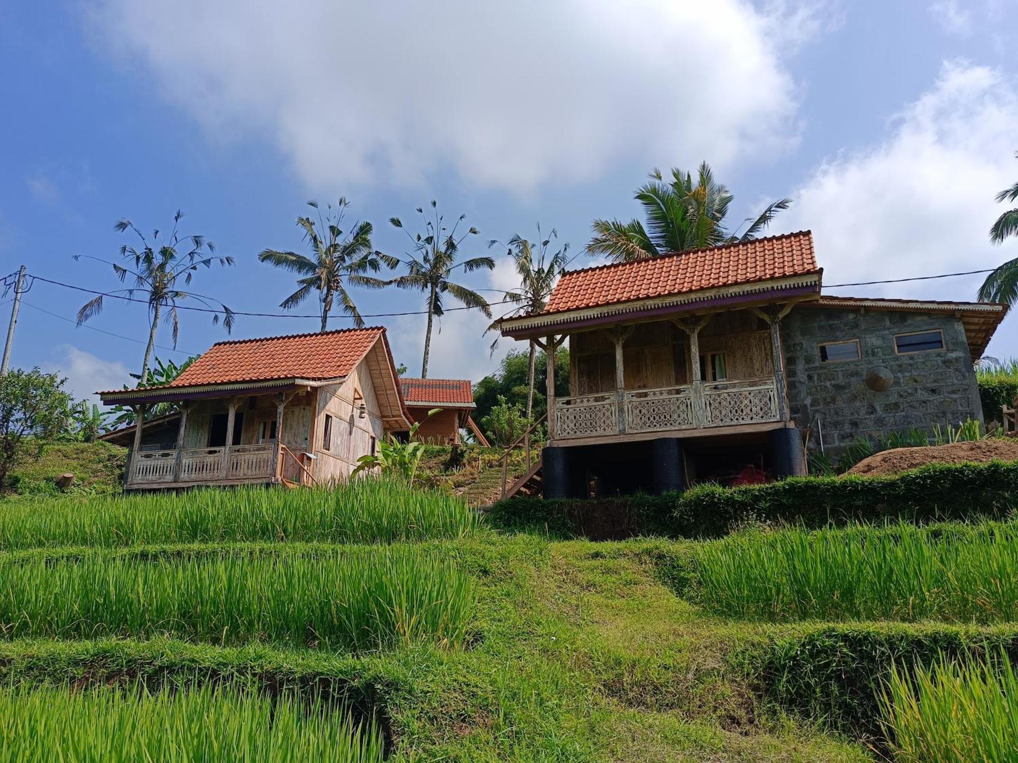 D'Ume Bendoel Homestay Jatiluwih Dış mekan fotoğraf