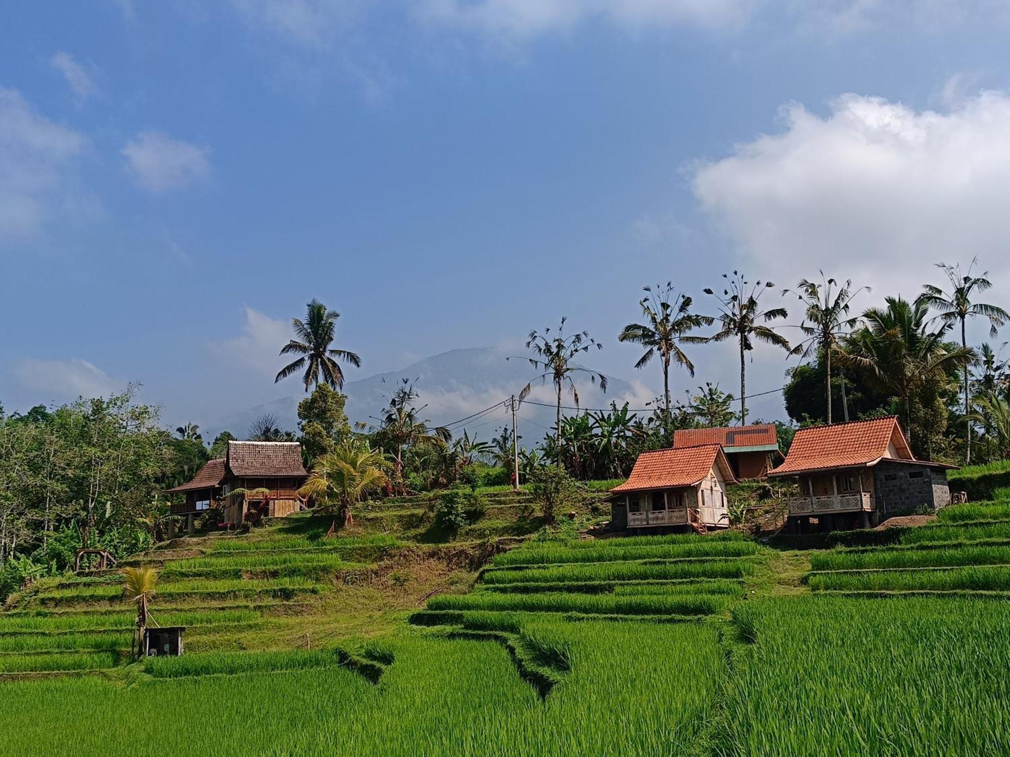 D'Ume Bendoel Homestay Jatiluwih Dış mekan fotoğraf