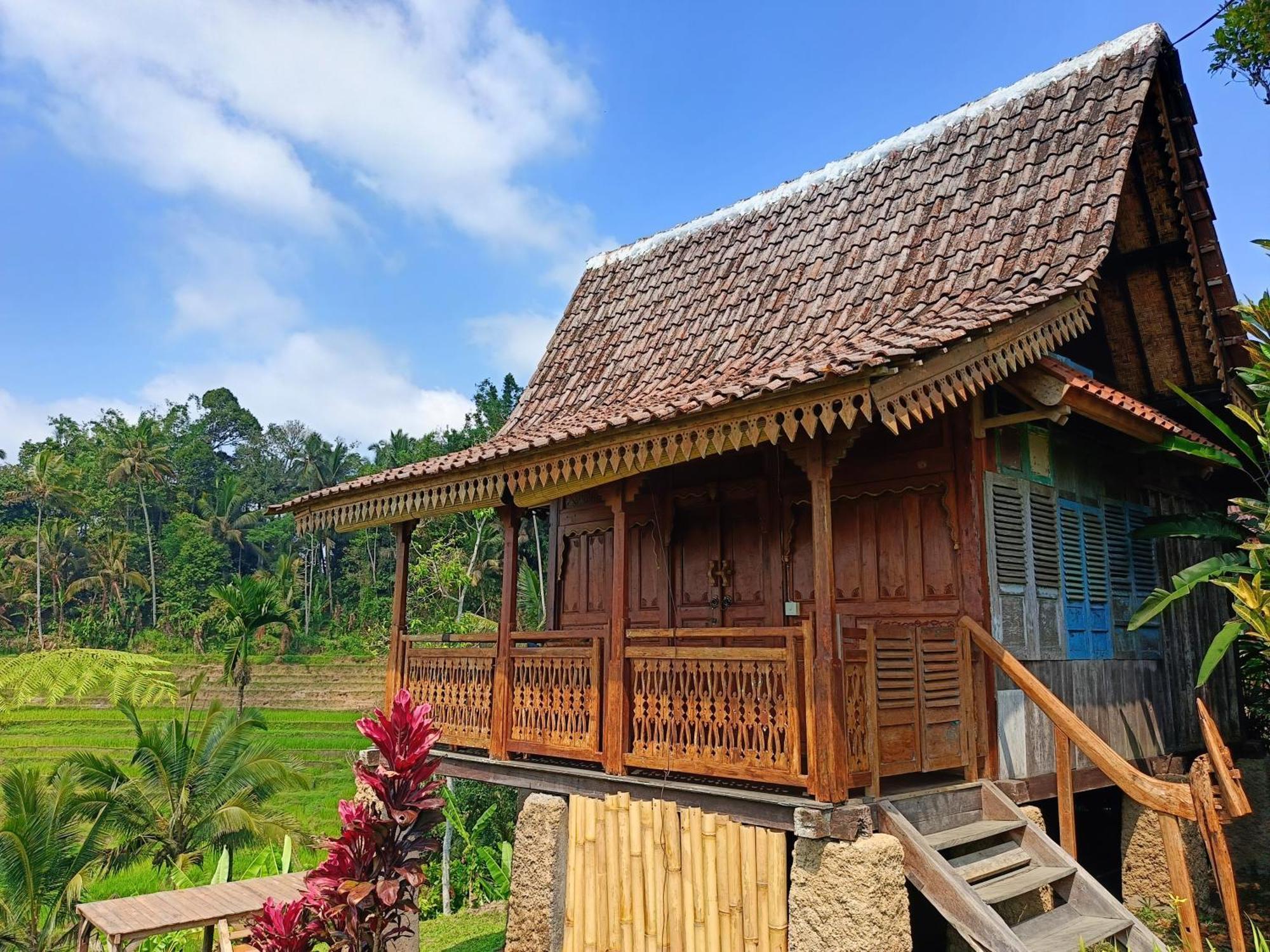 D'Ume Bendoel Homestay Jatiluwih Dış mekan fotoğraf
