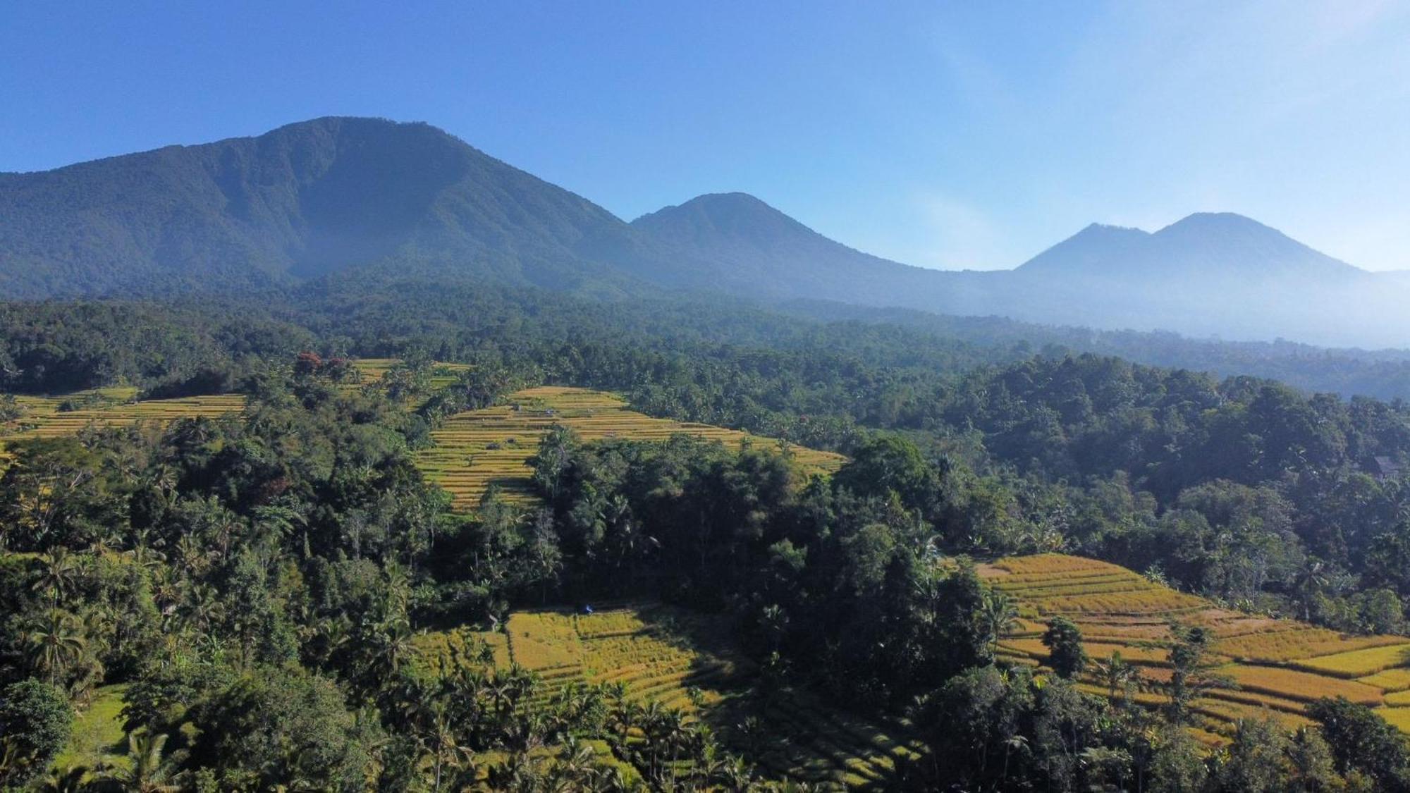 D'Ume Bendoel Homestay Jatiluwih Oda fotoğraf