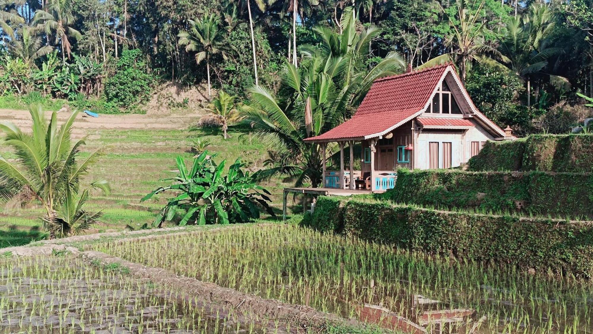 D'Ume Bendoel Homestay Jatiluwih Oda fotoğraf